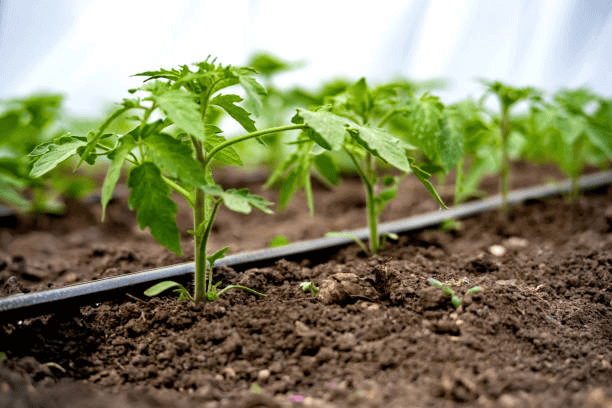 Irrigation Systems
